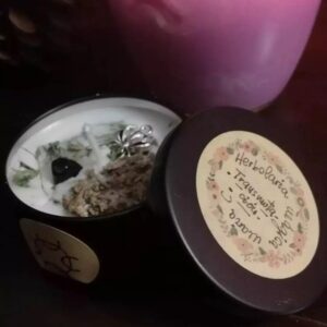 Transmutacion y transformacion.